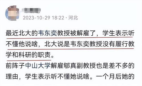 韦东奕暂不考虑直播，家属的看法与解读